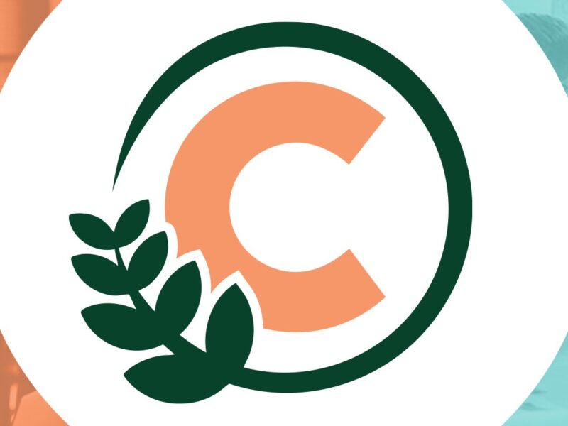 Cenati Consultoría Gestión Del Talento