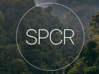 Special Places