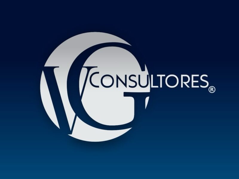 VG CONSULTORES