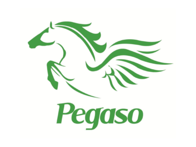 Pegaso Consultores Organizacionales